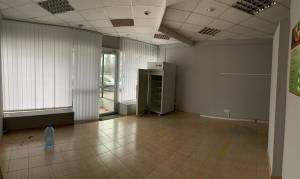  Нежитлове приміщення, W-7439766, Малишка А., 39, Київ - Фото 10