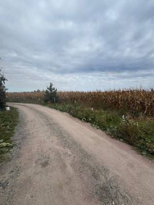 Земельна ділянка W-7414273, Раківка - Фото 3