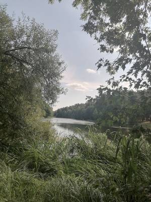 Земельна ділянка W-7355257, Максименка Федора (Червонофлотська), Київ - Фото 11