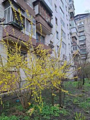 Квартира W-7397251, Коновальця Євгена (Щорса), 15, Київ - Фото 8
