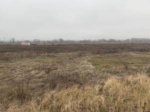 Земельна ділянка W-7437325, Вербицького, Вишеньки - Фото 12