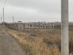 Земельна ділянка W-7437325, Вербицького, Вишеньки - Фото 10