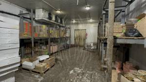  Виробниче приміщення, W-7434920, Вишневе (Києво-Святошинський) - Фото 5