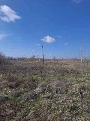Земельна ділянка W-7371309, Ржищів - Фото 7
