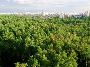 Квартира W-7369640, Пономарева, 26 корпус 4, Коцюбинское - Фото 1