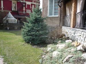 Дом W-7435187, Успешная, Киев - Фото 3