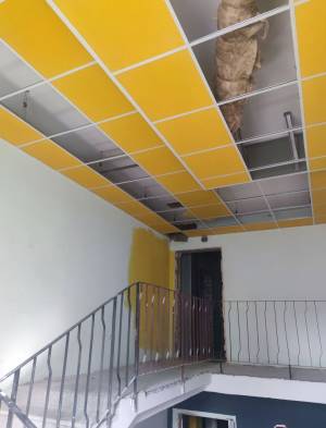  Нежитлове приміщення, W-7421987, Саперно-Слобідська, 22, Київ - Фото 3