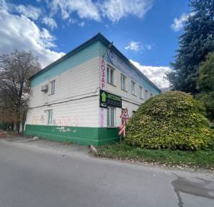  Окремо розташована будівля, W-7424232, Гетьмана Скоропадського Павла (Толстого Льва), 63, Київ - Фото 3