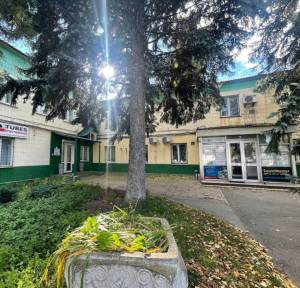  Окремо розташована будівля, W-7424232, Гетьмана Скоропадського Павла (Толстого Льва), 63, Київ - Фото 2