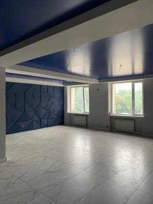  Отдельно стоящее здание, W-7418885, Михновского Николая бульвар (Дружбы Народов бульвар), 38, Киев - Фото 11