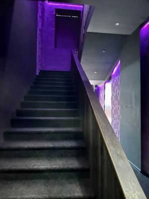  Нежилое помещение, W-7444420, Антоновича Владимира (Горького), 50, Киев - Фото 6