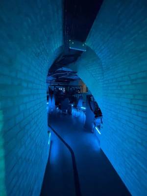  Нежилое помещение, W-7444882, Князей Острожских (Московская), 8, Киев - Фото 8