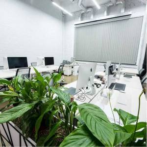  Офіс, W-7445331, Польова, 21, Київ - Фото 6