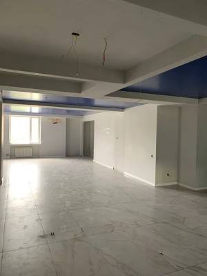  Окремо розташована будівля, W-7446618, Міхновського Миколи бульвар (Дружби Народів бульвар), 38, Київ - Фото 12