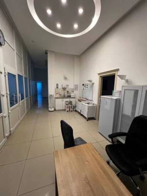  Отдельно стоящее здание, W-7446640, Каменская (Днепродзержинская), 77, Киев - Фото 7