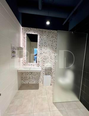  Офис, W-7405226, Зоологическая, Киев - Фото 7