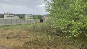 Земельна ділянка W-7414938, Вища Дубечня - Фото 6