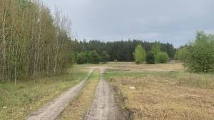 Земельна ділянка W-7414938, Вища Дубечня - Фото 15