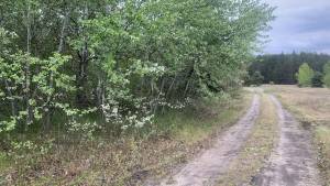 Земельна ділянка W-7414938, Вища Дубечня - Фото 5