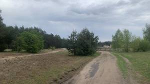 Земельна ділянка W-7414938, Вища Дубечня - Фото 11