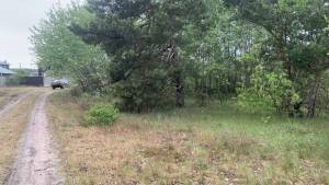 Земельна ділянка W-7414938, Вища Дубечня - Фото 4