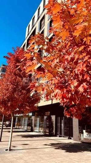 Квартира W-7423036, Набережно-Рибальська дорога, 5, Київ - Фото 14