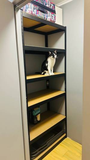 Квартира W-7423605, Заречная, Киев - Фото 9