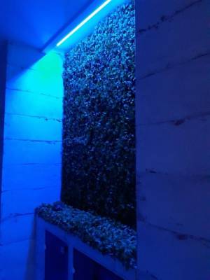 Квартира W-7430959, Руданського С., 4/6, Київ - Фото 12