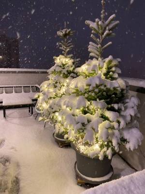 Квартира W-7429929, Рудницького Степана (Вільямса Академіка), Київ - Фото 13