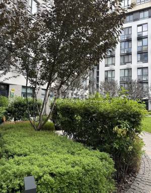 Квартира W-7433695, Салютна, 2/7, Київ - Фото 14