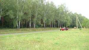 Земельна ділянка W-7433920, Корніївка - Фото 3