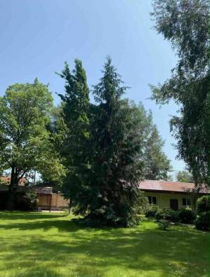 Дом W-7438673, Рудыки (Конча-Заспа) - Фото 13