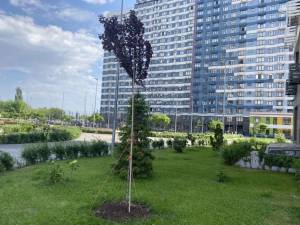 Квартира W-7444262, Сверстюка Євгена (Раскової Марини), 6а, Київ - Фото 10