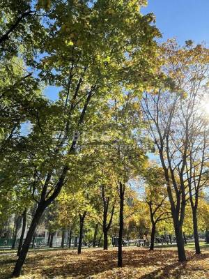 Квартира W-7448913, Ратушного Романа (Волгоградська), 6, Київ - Фото 6