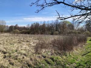 Земельна ділянка W-7445051, Берегова, Вороньків - Фото 14