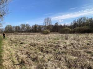 Земельна ділянка W-7445051, Берегова, Вороньків - Фото 3