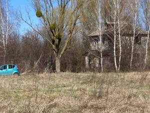 Земельна ділянка W-7445051, Берегова, Вороньків - Фото 8