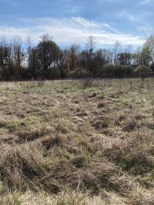 Земельна ділянка W-7445051, Берегова, Вороньків - Фото 2