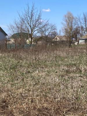 Земельна ділянка W-7445051, Берегова, Вороньків - Фото 1