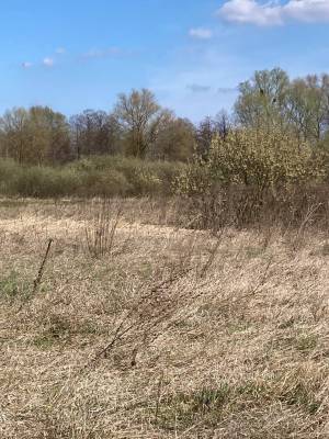 Земельна ділянка W-7445051, Берегова, Вороньків - Фото 9