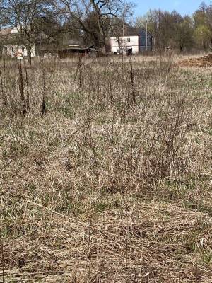 Земельна ділянка W-7445051, Берегова, Вороньків - Фото 5