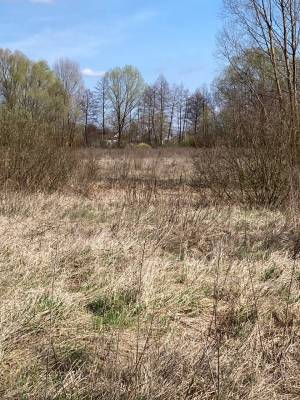 Земельна ділянка W-7445051, Берегова, Вороньків - Фото 10