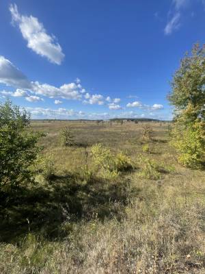 Земельный участок W-7448134, Сувид - Фото 1