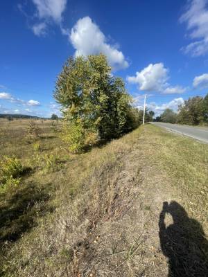 Земельный участок W-7448134, Сувид - Фото 2