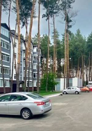 Квартира W-7378640, Идейная, 4, Гнедин - Фото 3