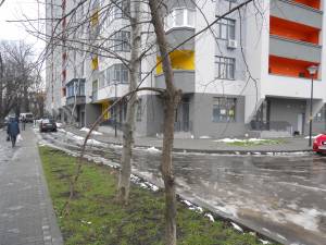 Apartment W-7294614, Beresteis'kyi avenue (Peremohy avenue), 71а, Kyiv - Photo 5