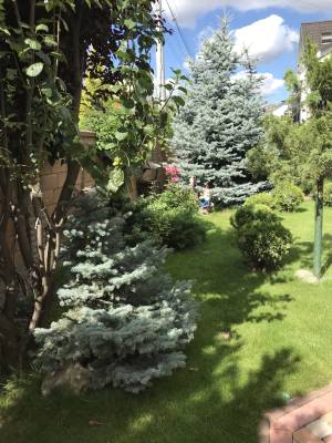 Дом W-7426790, Васильков - Фото 13