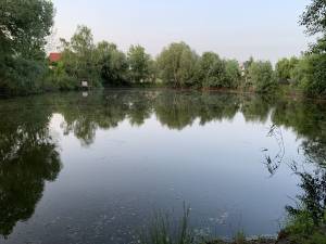 Земельный участок W-7362329, Центральная, Киев - Фото 1