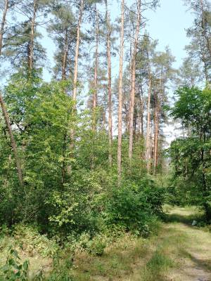 Земельный участок W-7423780, Синеозерная, Киев - Фото 7