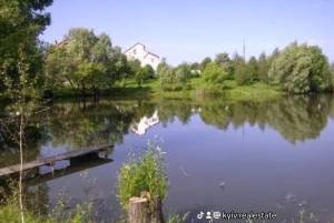 Будинок W-7443975, Лісова, 17, Крушинка - Фото 7